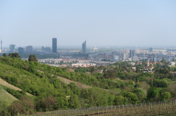 Blick vom Wienerwald auf die Stadt